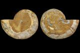 Cut & Polished, Agatized Ammonite Fossil- Jurassic #110773-1
